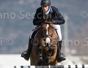 Hendrix Wait and see TosTour2013- S5 2892 : Arezzo, Arezzo Equestrian Centre, Hendrix Michel, Toscana Tour 2013, Wait and see, foto di Stefano Secchi ©